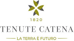 Tenute Catena