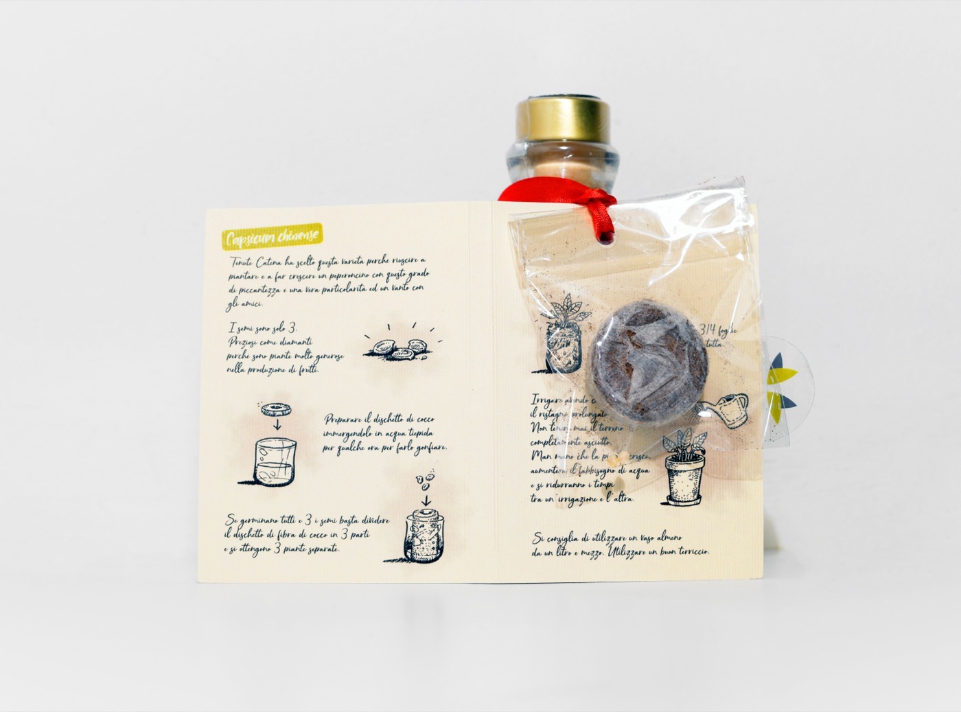 Il kit di coltivazione del PepeRoncino: il cartoncino illustrato a mano con le istruzioni, il dischetto di fibra di cocco e i tre semi di Capsicum chinense