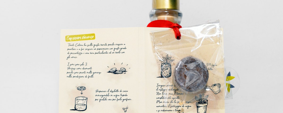 Scopri la linea Pietrangelo — Olio EVO del Cilento